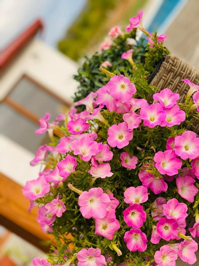 Hotel Gold Horse Vendeghaz Szilvásvárad Zewnętrze zdjęcie