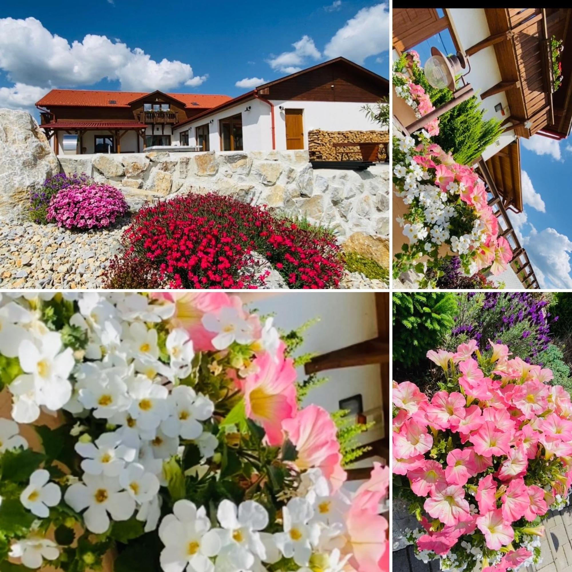 Hotel Gold Horse Vendeghaz Szilvásvárad Zewnętrze zdjęcie