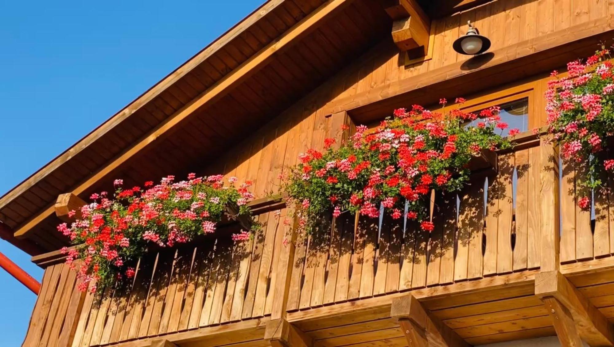 Hotel Gold Horse Vendeghaz Szilvásvárad Zewnętrze zdjęcie