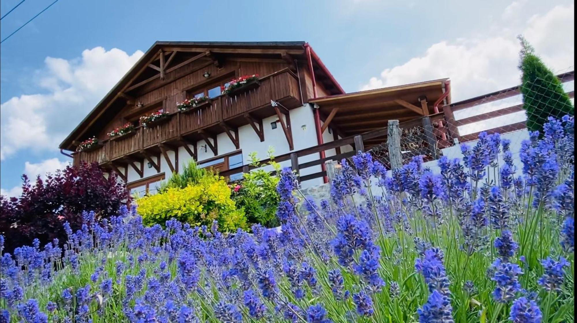 Hotel Gold Horse Vendeghaz Szilvásvárad Zewnętrze zdjęcie