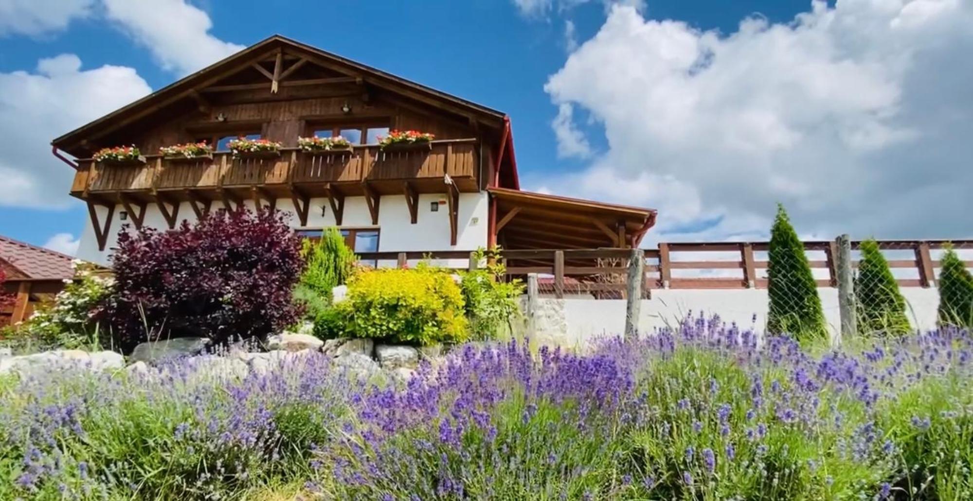 Hotel Gold Horse Vendeghaz Szilvásvárad Zewnętrze zdjęcie